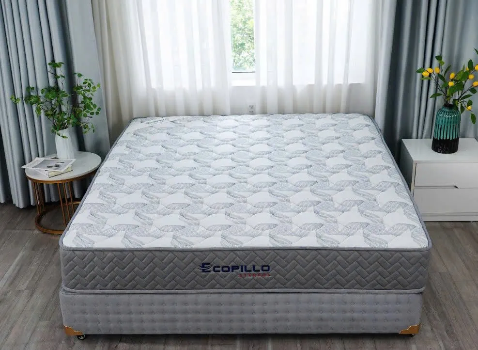 Đệm lò xo túi độc lập Ecopillo 22cm