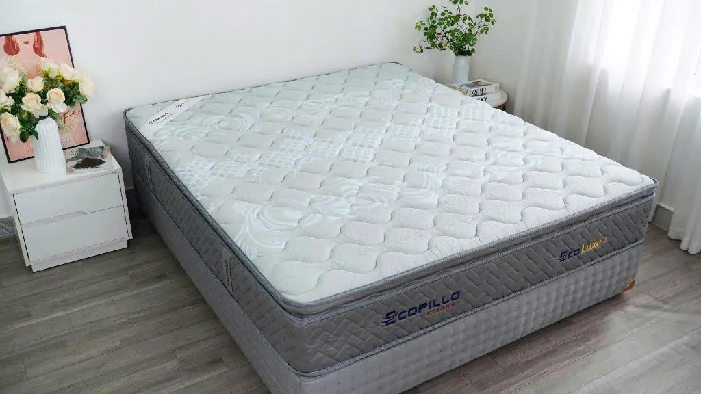 Đệm lò xo túi độc lập Ecopillo 26cm